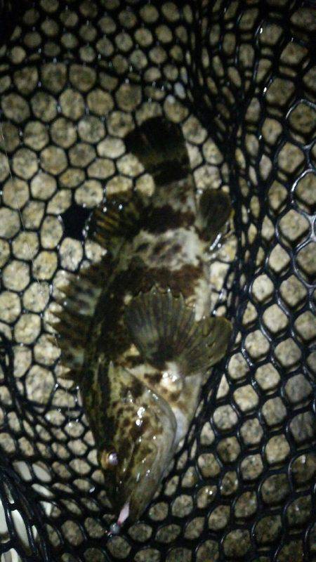 オンスタックルラウンドトリップトーナメント…