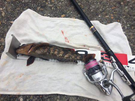 1月最後のエビ撒き