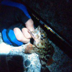 渋い…でも楽しい！