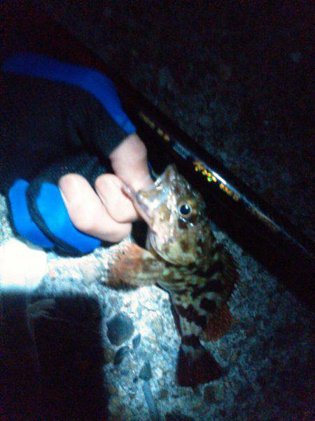 渋い…でも楽しい！