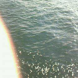 下火になってきました