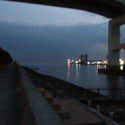 今季初タケノコメバル