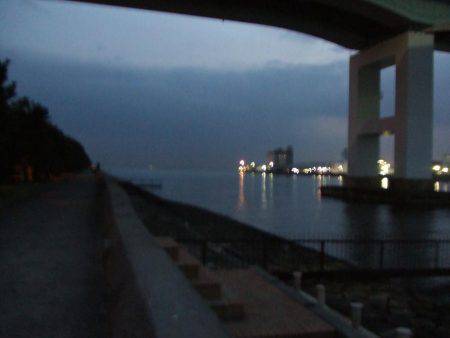 今季初タケノコメバル