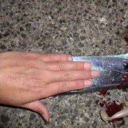 夕方も西宮行って来ました。