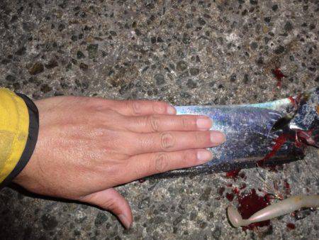 夕方も西宮行って来ました。