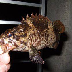 痛恨のミス(T_T)