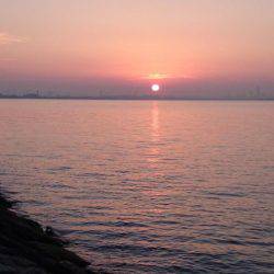 まだサゴシ居ました！