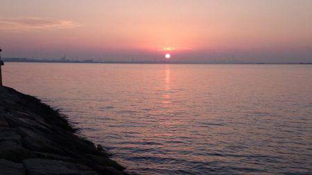 まだサゴシ居ました！