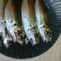 ワインドまだまだっ