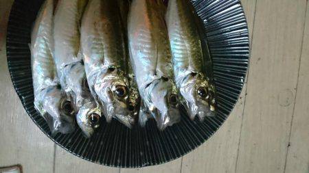 ワインドまだまだっ