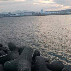 釣り初めは残念な結果に…