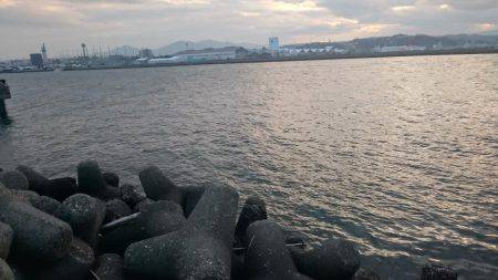 釣り初めは残念な結果に…