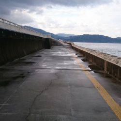 コウちゃん狙い