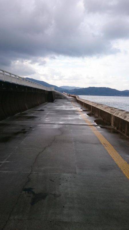 コウちゃん狙い