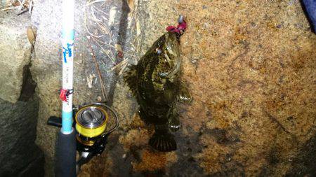 尺タケノコメバル！