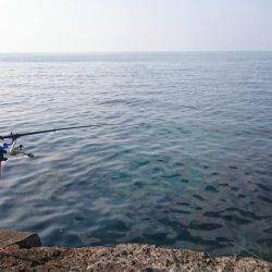 新年！初釣り！