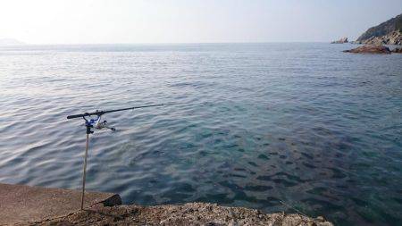 新年！初釣り！