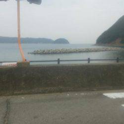 メバルを求めて