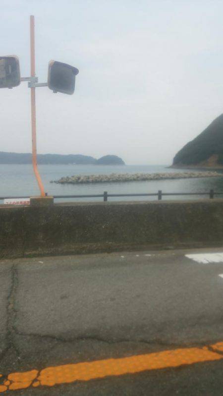 メバルを求めて