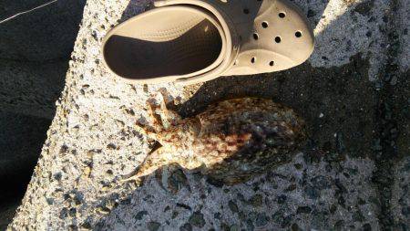 明けましておめでとうございます