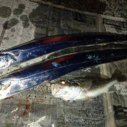 寒いなかでも初釣り