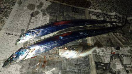 寒いなかでも初釣り