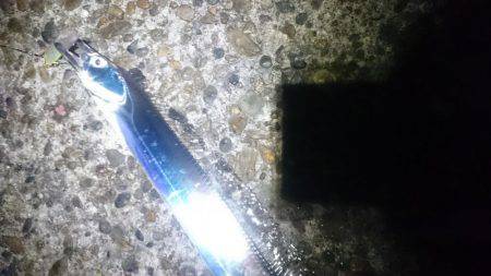 かなり減りました。