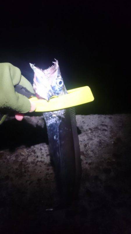 かなり減りました2