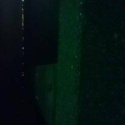 そろそろ終わりかな？