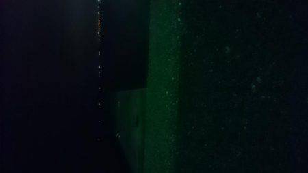 そろそろ終わりかな？