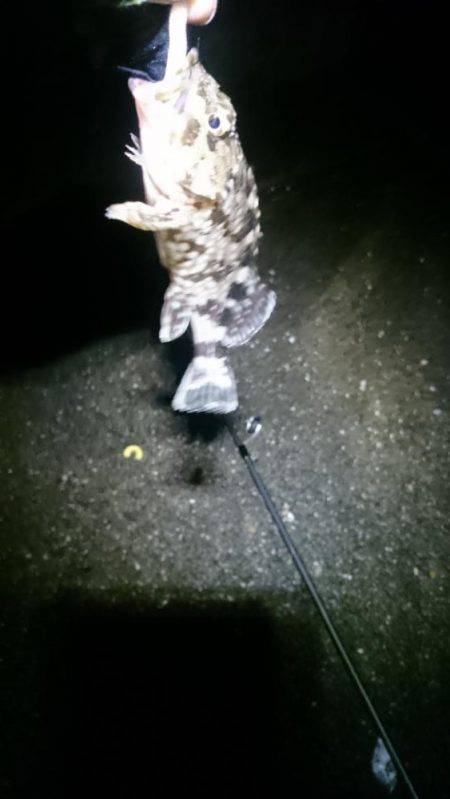 極寒メバリング