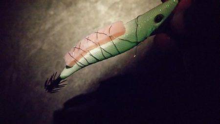 今年初釣果はヤリイカ