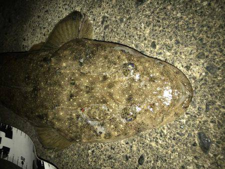 今年の初魚は！