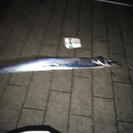 なかなかいい釣果