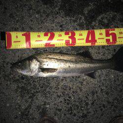 ショアジギ出来ないから….