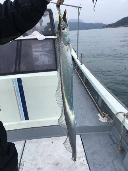 船釣り太刀魚