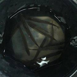 余呉湖ワカサギ釣り