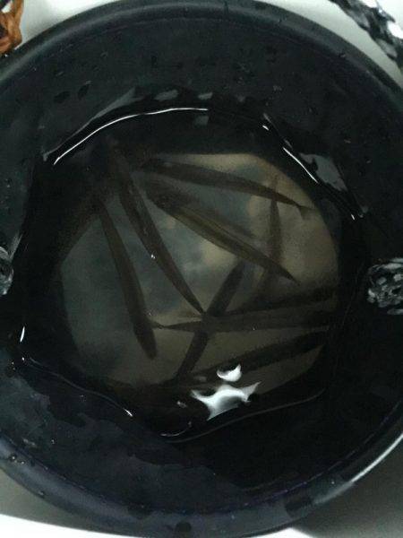 余呉湖ワカサギ釣り