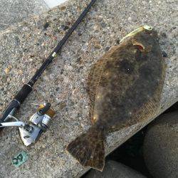 初釣りで、初めてのヒラメget!