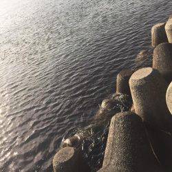 意地の2匹Getだぜ！