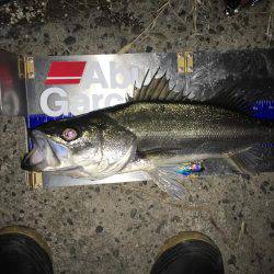 シーバスナイトゲーム