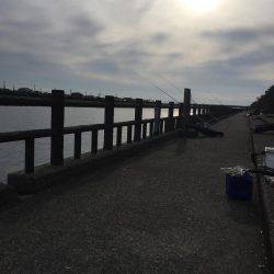 貝塚人工島水路の投げ釣り