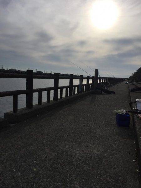 貝塚人工島水路の投げ釣り