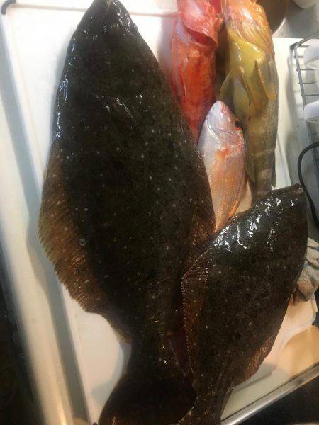 今年の初釣り！