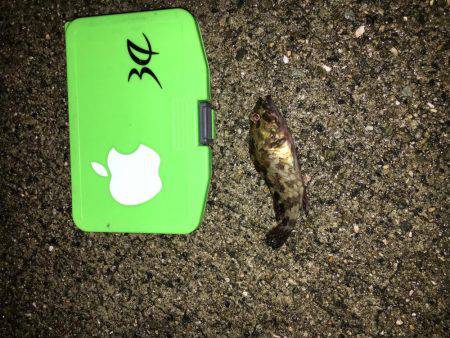 寒さに負けません