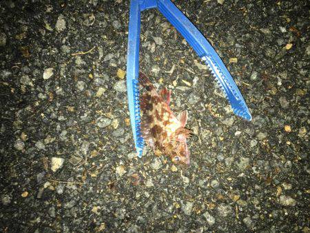 とにかく寒いよー