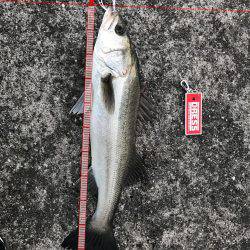 粉雪の中で頑張った甲斐がありました✨