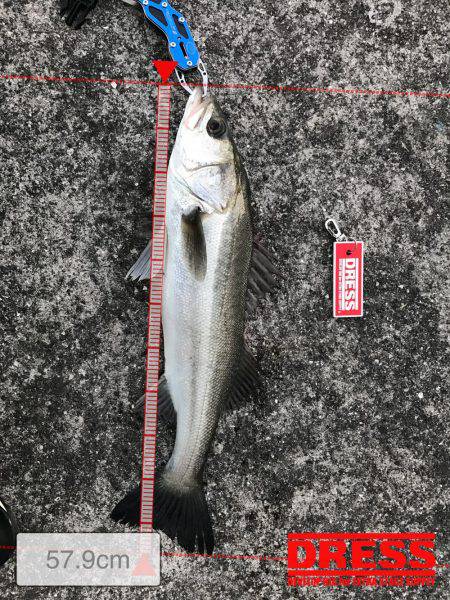 粉雪の中で頑張った甲斐がありました✨