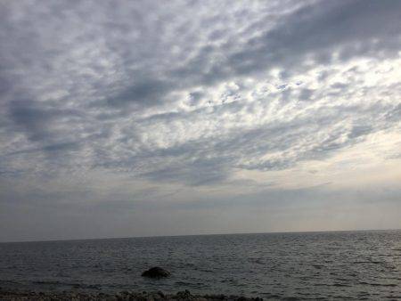 サーフシーバス