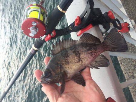 初釣り、初バックラ…（投げ練8日目）